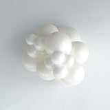 Sugar 24"